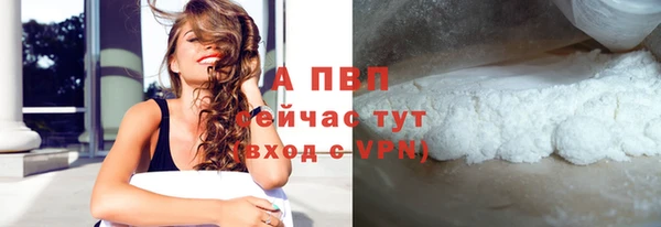 стаф Коряжма