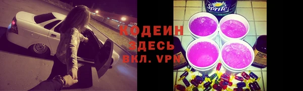 соль ск Козельск